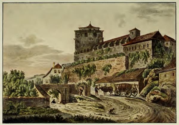 Kost - hrad